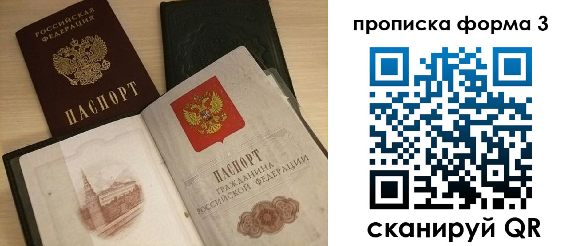 прописка для школы в Коле