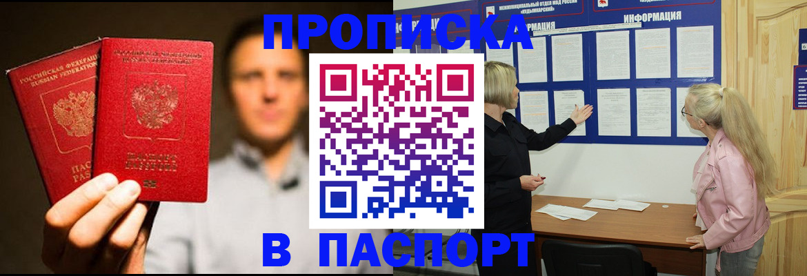 где прописаться в Коле